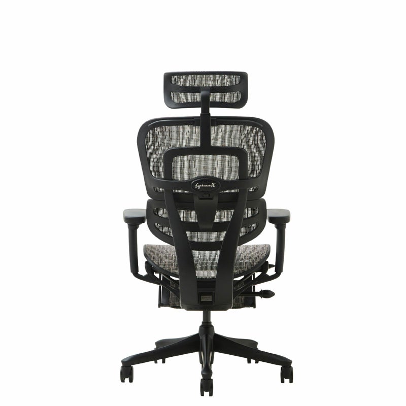 特別仕様モデル 】 エルゴヒューマン SE /ヘッドレスト / ブラック塗装 